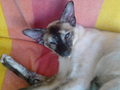 bubbles_10