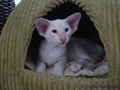 dsc02179