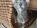 lamer_pics5