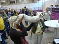 DSC03021