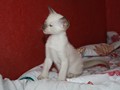 IMG_0584