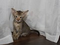 IMG_0612