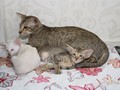 IMG_0693