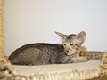 IMG_0906
