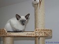 img_7595