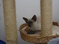 img_7691
