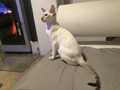 Jeff2